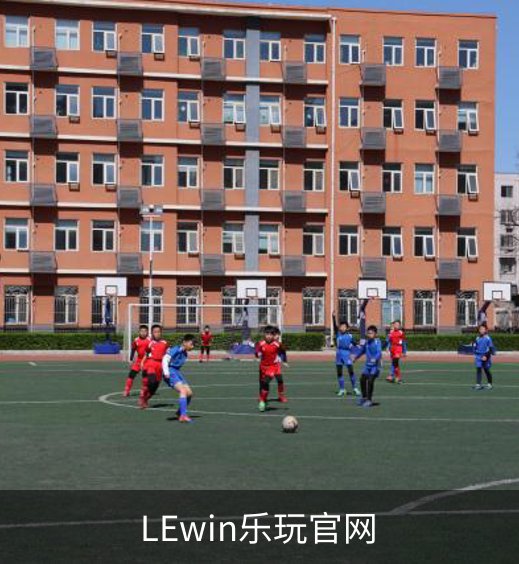 关于LEwin乐玩官网